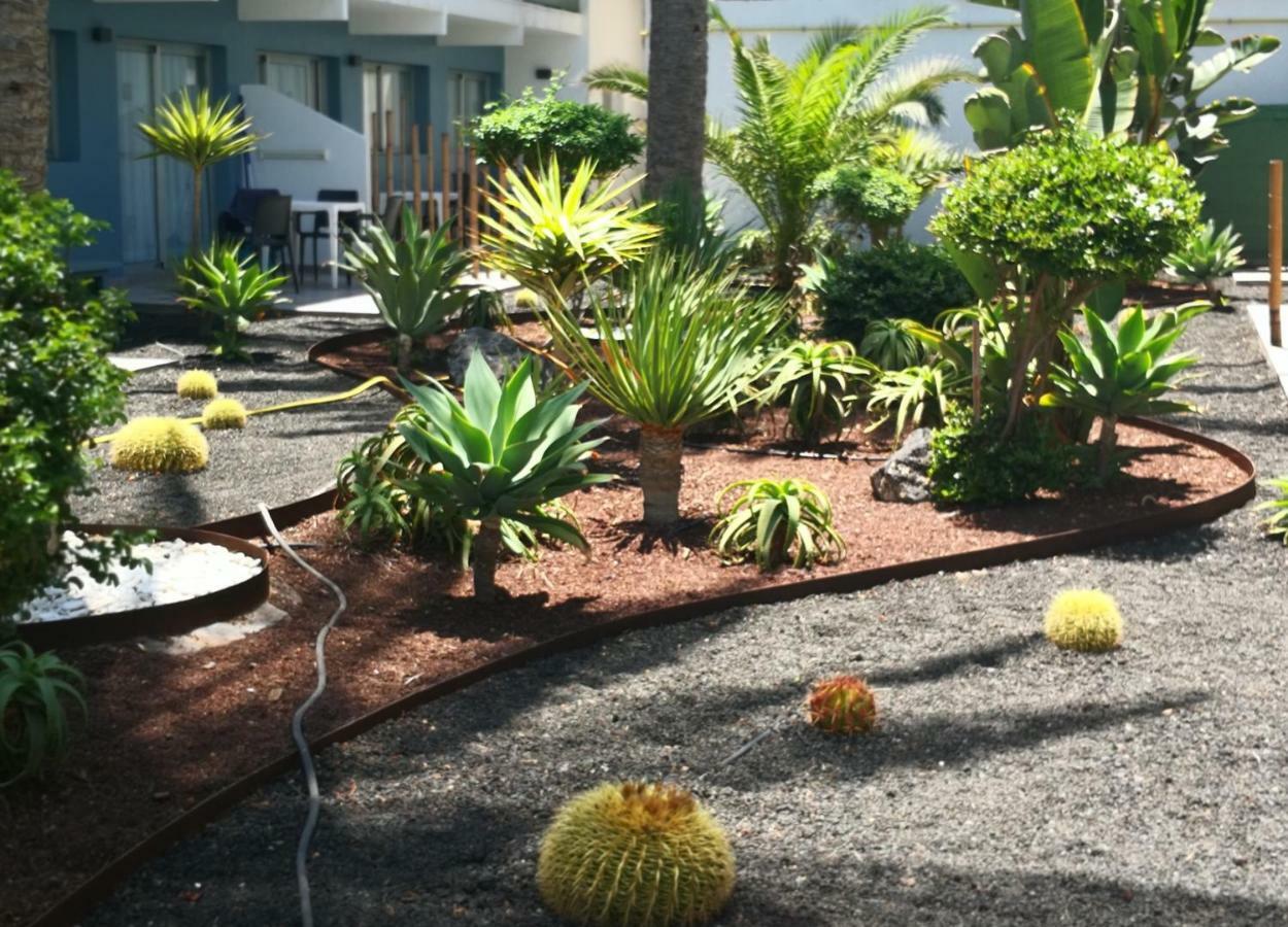 Apartament Vista Bristol 50b Corralejo